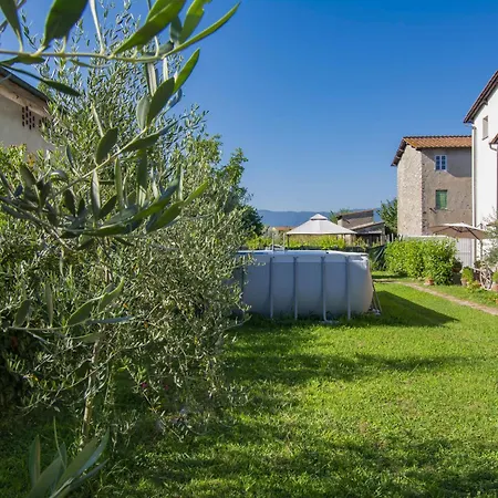 Pinot By Interhome Daire Lucca