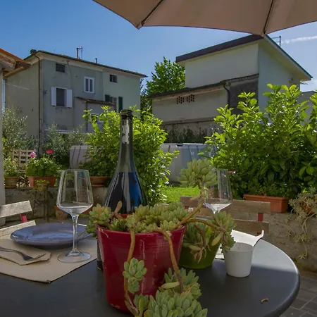 Pinot By Interhome Daire